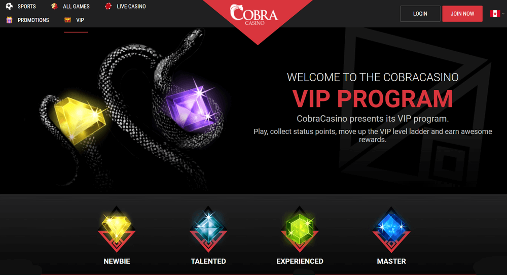 Cobra Casino VIP Casino