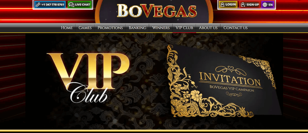 BoVegas Gold Casino VIP Casino