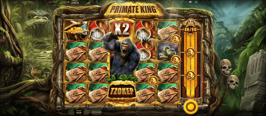 Primate King Graphics