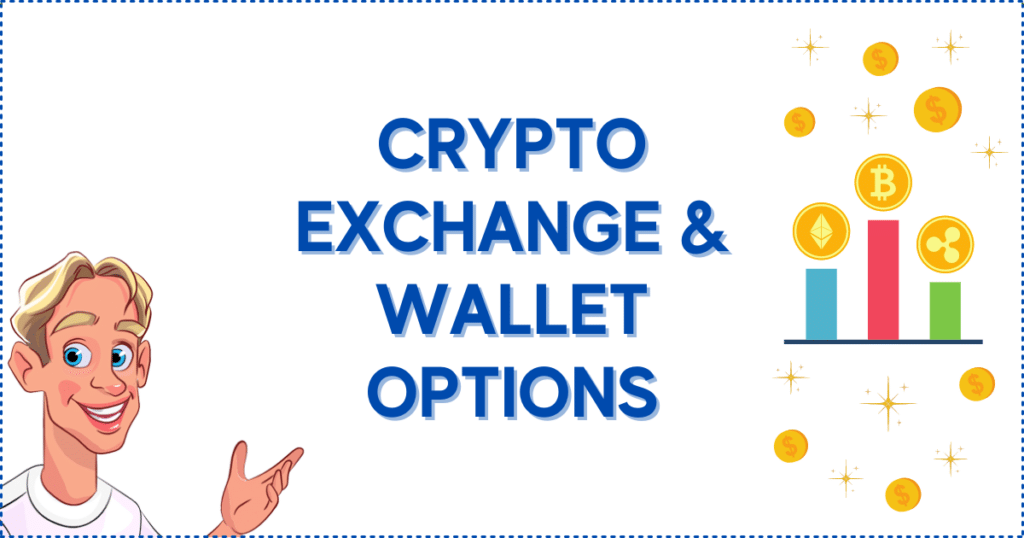 Crypto Exchange and Wallet Options