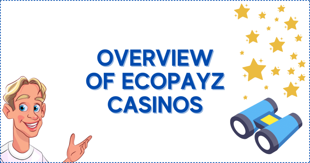 Overview of EcoPayz Casinos in Canada