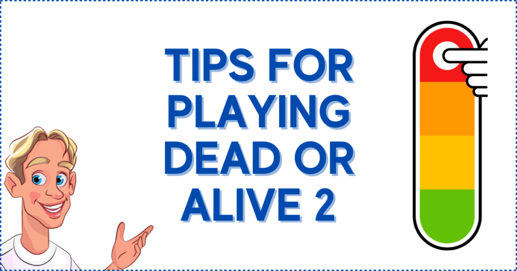 Tips for Playing Dead or Alive 2