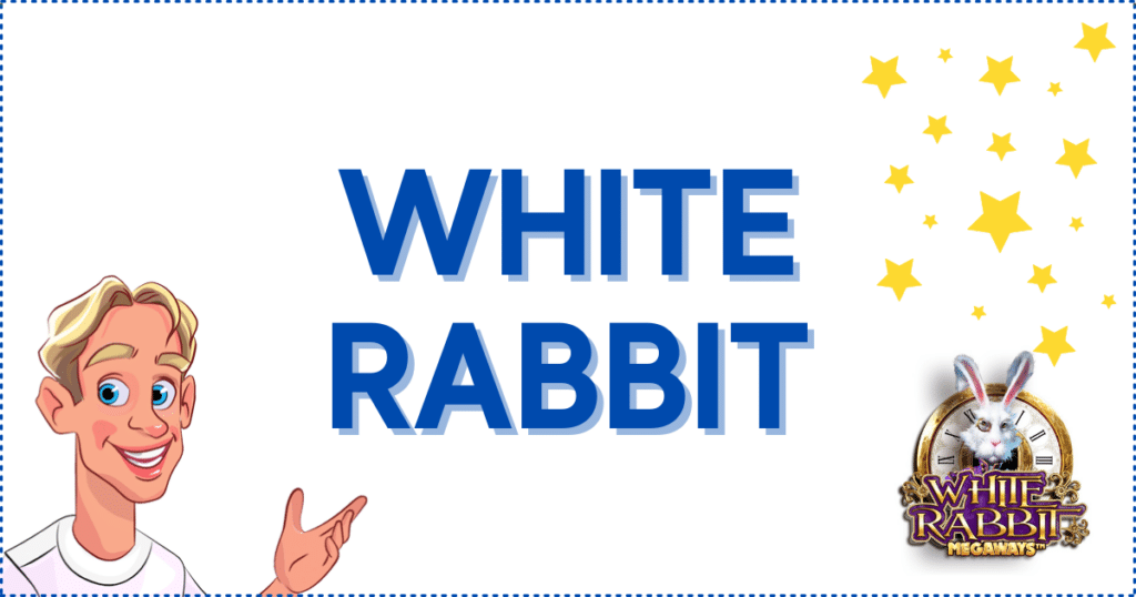 White Rabbit Banner