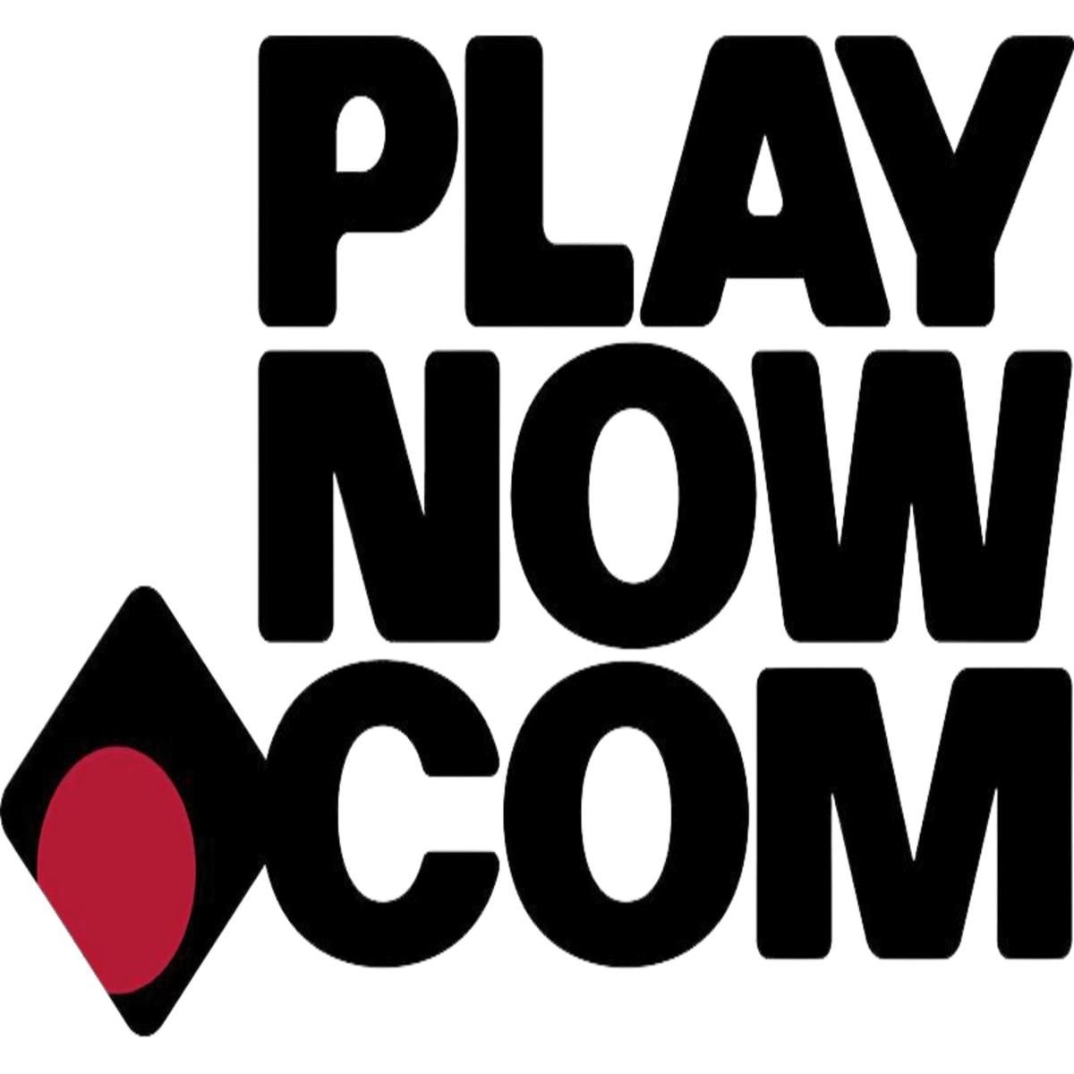 PlayNow.com Logo